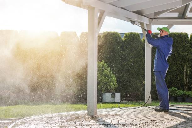 Best Gutter Cleaning  in Annandale, VA